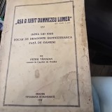 Asa a Iubit Dumnezeu lumea sau Inima lui Isus, focar de dragoste dumnezeiasca fata de oameni - Petru Tamaian