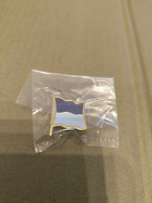 Pin - Insigna Politehnica Timisoara