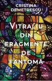 Vitraliu din fragmente de fantoma - Cristina Demetrescu