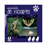 Animalele de noapte - Hardcover - Teodora Terciu - Arthur