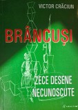 Victor Crăciun, Br&acirc;ncuși - zece desene necunoscute, 2007, Semne