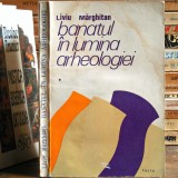BANATUL, &icirc;n Lumina Arheologiei Vol. I, Liviu Mărghitan - Istoria și Arheologia Banatului: Paleolitic, Neolitic, Epoca Fierului din Banat, Dacia Romană