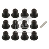 Febi Bilstein Set garnituri, ax supape