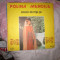 vinil polina manoila n17