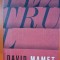 Teatrul - David Mamet
