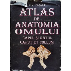 Atlas De Anatomia Omului Capul Si Gatul - Ion Pasat , C292