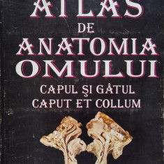 Atlas De Anatomia Omului Capul Si Gatul - Ion Pasat ,554530