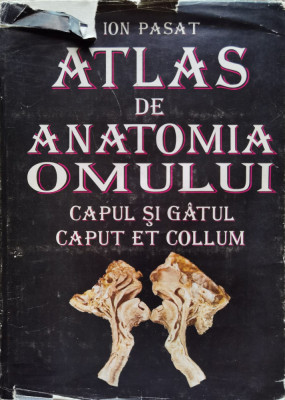 Atlas De Anatomia Omului Capul Si Gatul - Ion Pasat ,554530 foto