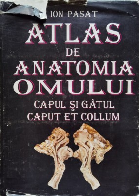 Atlas De Anatomia Omului Capul Si Gatul - Ion Pasat , C292 foto