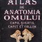 Atlas De Anatomia Omului Capul Si Gatul - Ion Pasat , C292