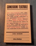 Conexiuni teatrale Amza Saceanu