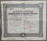 Diploma de doctor in medicina si chirurgie, Bucuresti 1929