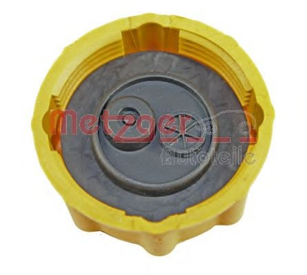 Buson vas expansiune antigel FORD TRANSIT CONNECT (P65, P70, P80) (2002 - 2016) METZGER 2140084