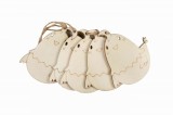 Accesorii pentru activitati crafts pirogravura lemn,puisor,7x7cm,5 bucati set