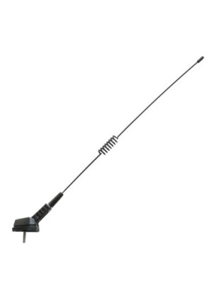 Antena pavilion cu arc foto