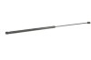 Amortizor capota dreapta față AUDI A4 Cabrio 8H7, B6, 8HE, B7 2006 OEM: 8E0823359A 12055318