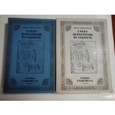 CALEA SUFLETELOR IN VESNICIE - PROTOS. NICODIM MANDITA - 2 volume
