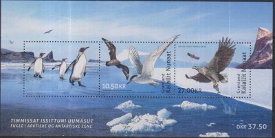 Timbre cu faună arctică din Groenlanda foto