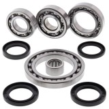Cumpara ieftin Set de rulment diferential si garnitura Spate pentru SUZUKI LT-A 500 2001-2002