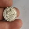 1 leu 1894 ARGINT