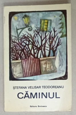 CAMINUL de STEFANA VELISAR TEODOREANU , roman , 1971, DEDICATIE * foto