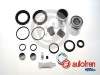 AUTOFREN SEINSA D42445C Set reparatie, etrier