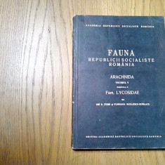 FAUNA R P R*Vol.V, Fasc. 3 - ARACHNIDA - Fam. LYCOSIDAE - I. E. Fuhn -1971, 256p