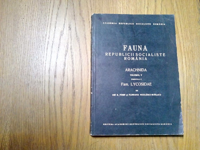 FAUNA R P R*Vol.V, Fasc. 3 - ARACHNIDA - Fam. LYCOSIDAE - I. E. Fuhn -1971, 256p foto