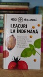 Leacuri la indemana Stephen Amiel carte 2005 pagini 690 editura univers literatura clasica romane celebre editie de colectie