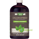 Chlorofresh Mint Liquid 473.2ml Secom,
