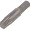 Capăt de şurubelniţă spline XZN M8 35mm