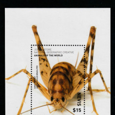 Nevis 2017-Fauna,Insecte,Greiere de pestera,Colita dantelata,MNH,Mi Bl.391