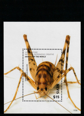 Nevis 2017-Fauna,Insecte,Greiere de pestera,Colita dantelata,MNH,Mi Bl.391 foto