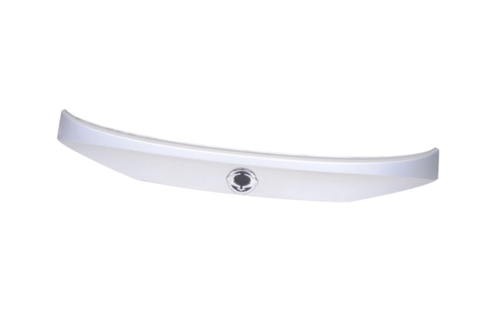 Ornament lampa număr de &icirc;nmatriculare SSANGYONG RODIUS II 2018 OEM: 79630-21202,K79630-21202 22761784