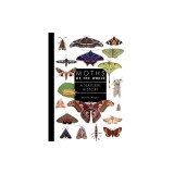 Moths of the World: A Natural History