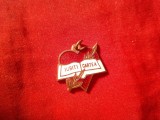 Martisor vechi alama cu mesaj : Iubiti cartea - Romania , h=1,5cm