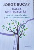 Calea Spiritualitatii Cum Sa Ajungi In Varf Si Sa Iti Continu - Jorge Bucay , A853, Litera
