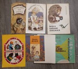 Lot 6 cărți vechi pentru copii.