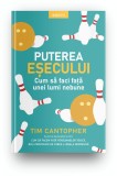 Cumpara ieftin Puterea esecului. Cum sa faci fata unei lumi nebune, Litera