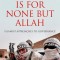 The Rule Is for None But Allah: Islamist Approaches to Governance