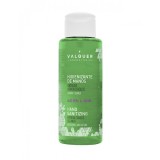 Solutie Igienizanta hidroalcolic pentru maini cu aloe Valquer 100ml