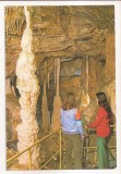 RF83 - Carte Postala - Pestera Ursilor - Chiscau, Jud Bihor, necirculata