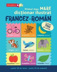 Primul meu MARE dictionar ilustrat FRANCEZ-ROMaN. Cu peste 700 de cuvinte peste 50 de teme peste 50 de expresii
