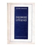 Silvian Iosifescu - Drumuri literare - 103471