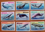 NIUE- FAUNA-MARINA-PESTI --SET=9VAL.-NESTAMP--Scan