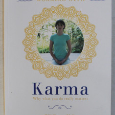 WORKING WITH KARMA , WHY WHAT YOU DO REALLY MATTERS , by GILL FARRER - HALLS , 2015