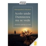 Acolo unde Dumnezeu nu se vede. Asumarea suferintei si a bolii&nbsp;- Nikolaos, mitropolit de Mesogheea si Lavreotiki