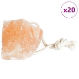 vidaXL Blocuri de sare 20 buc cu sfori pentru animale de fermă 2,5 kg Roz
