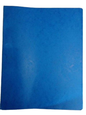 Caiet mecanic Exacompta 51250E A4, 4 inele, 15 mm diametru, 20 mm cotor, albastru - RESIGILAT foto