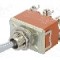 Intrerupator basculant, 2 pozitii, mod comutare ON-(ON), DPDT, PANASONIC - T215RSULCSAFJ